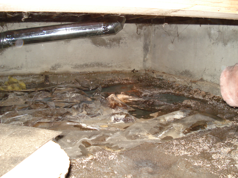 Why Do You Need a Crawl Space Sump Pump? Permadry Waterproofing