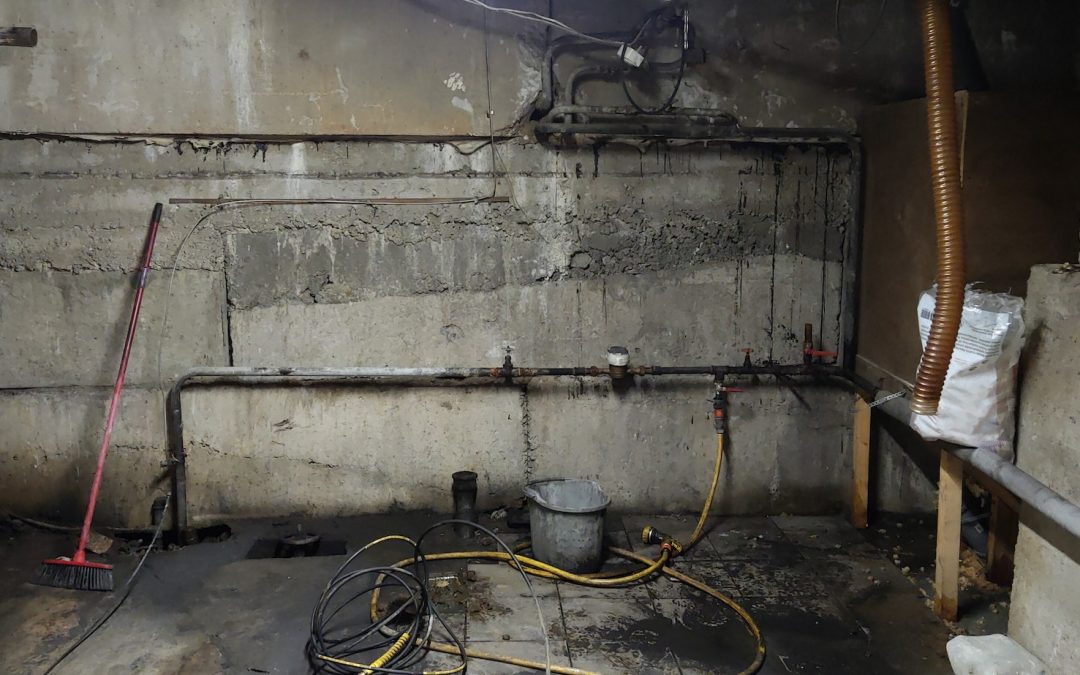 Case Study: Transforming a Wet Basement into a Dry, Usable Space