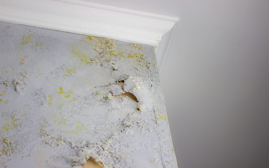 How to Prevent Mold Growth in Your Basement