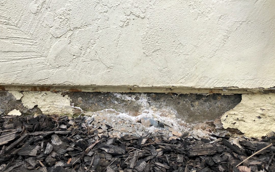 Common Causes of Foundation Leaks and How to Prevent Them