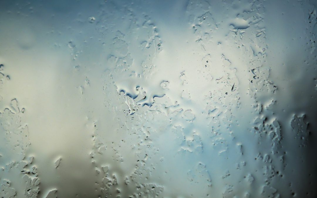 Water drops. Abstract background texture. Detail of moisture close up